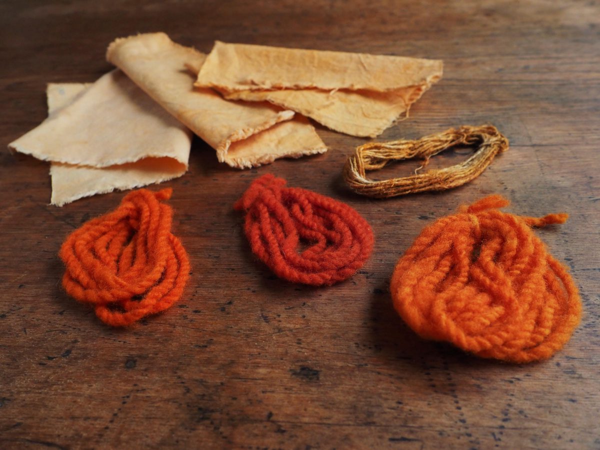 Orange Cosmos natural dye colour swatches