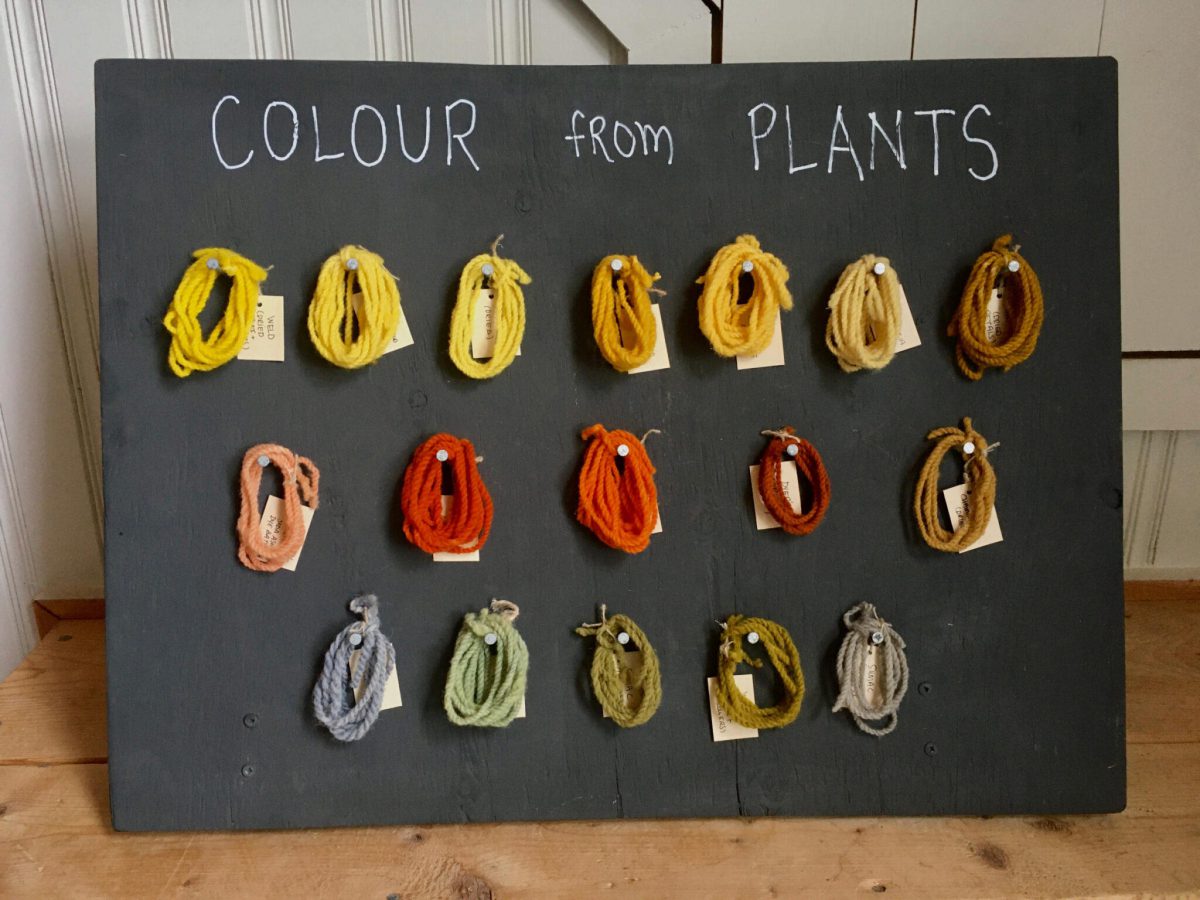 Introduction to Natural Dyes - Vibrant Acres Colour Farm